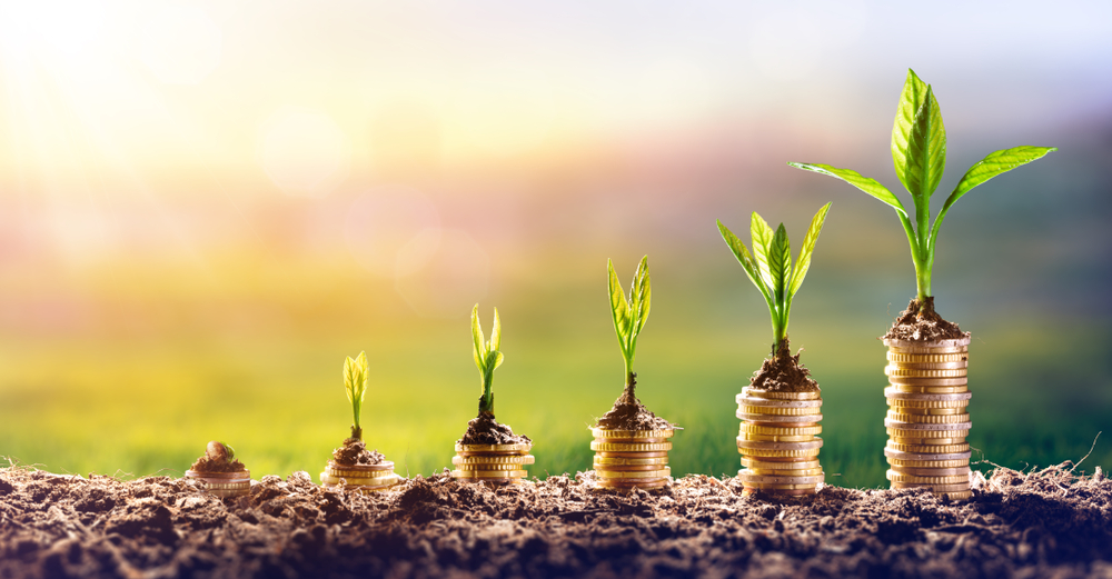 Growing Money - Plants growing on a stack of coins - Finance and Investment